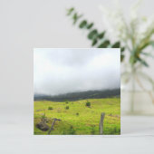 Nuages descendant sur les pâturages et carte plate (Debout devant)