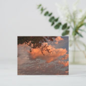 Nuages du lever du soleil, carte postale (Debout devant)