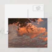 Nuages du lever du soleil, carte postale (Devant / Derrière)
