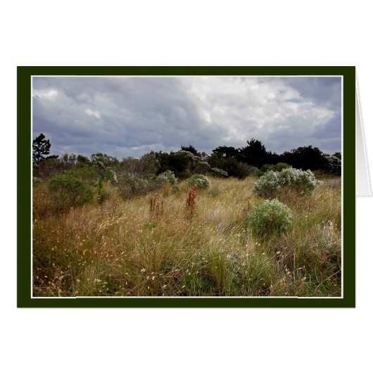 Nuages et hautes herbes OBX (Devant horizontal)