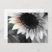 nuances de cartes postales (Devant / Derrière)