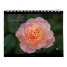 Nuances de rose Calendrier 12 mois