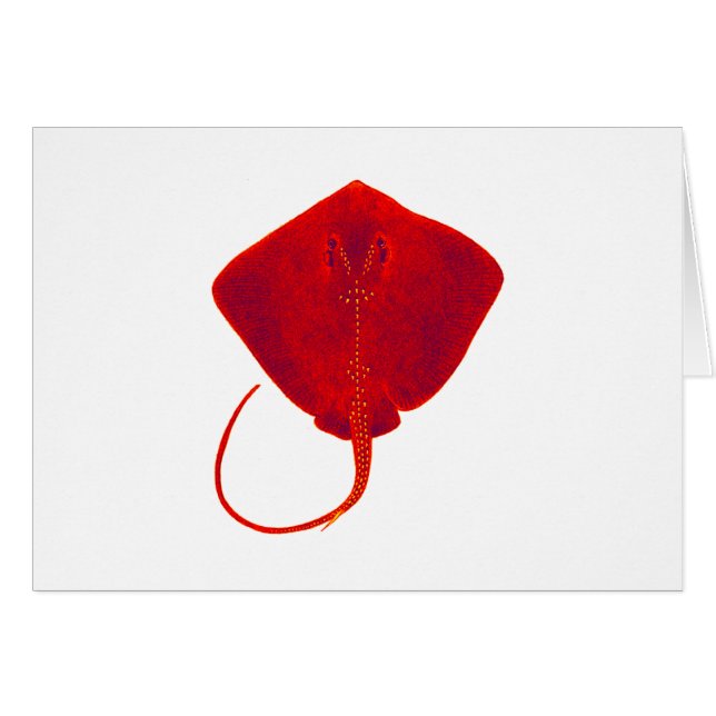 NUANCES DU ROUGE (Devant horizontal)