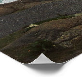 Nubble Light - York, Maine 24 x 24 Poster (Coin)