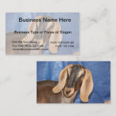 Nubiaanse moeraskop tegen blauw visitekaartje (Voorkant / Achterkant)