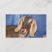 Nubiaanse moeraskop tegen blauw visitekaartje (Achterkant)