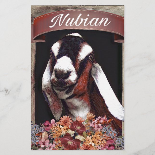Nubian Goat (Voorkant)
