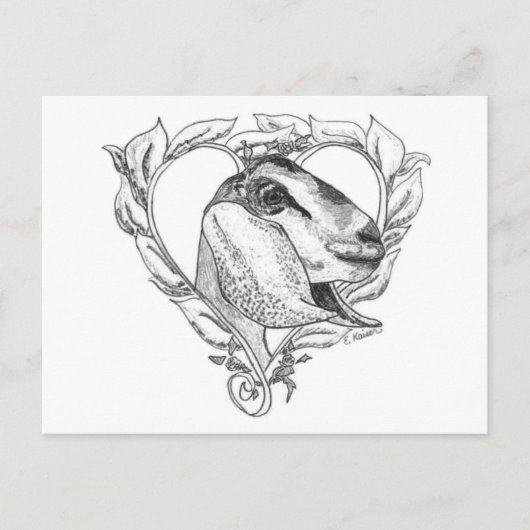 Nubian Head in het hart Briefkaart (Voorkant)