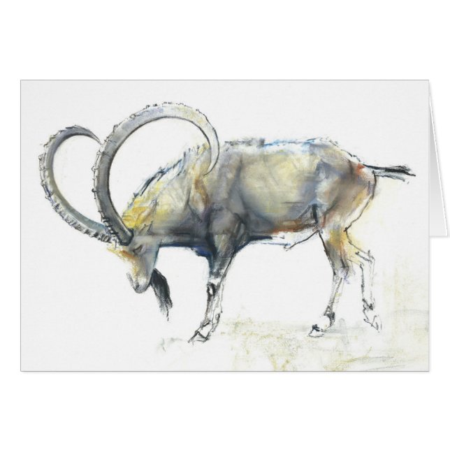 Nubian Ibex 2008 (Voorkant Horizontaal)