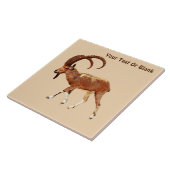 Nubian Ibex - Ein Gedi Tegeltje (Zijkant)