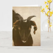 Nubian Kaart (Gele Bloem)