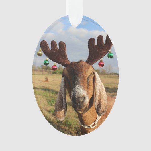 Nubian Reindeer Xmas Ornament (voorkant)