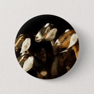 Nubians richt zich op ronde button 5,7 cm