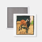 Nubische magneet - Vierkant (Voorkant / Achterkant)