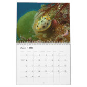 Nudibranch Calendar Kalender (Mar 2026)
