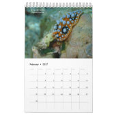 Nudibranchs à Siquijor : Calendrier Bureau (Feb 2027)