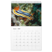 Nudibranchs à Siquijor : Calendrier Bureau (Mar 2027)