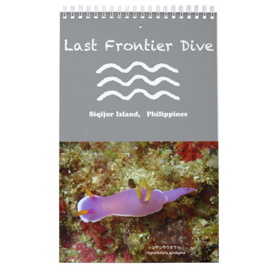 Nudibranchs à Siquijor : Calendrier Bureau (Protection)