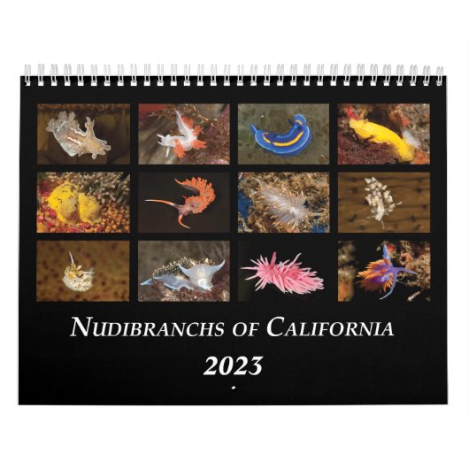 Nudibranchs of California Calendar Kalender (Hoes)