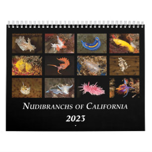 Nudibranchs of California Calendar Kalender