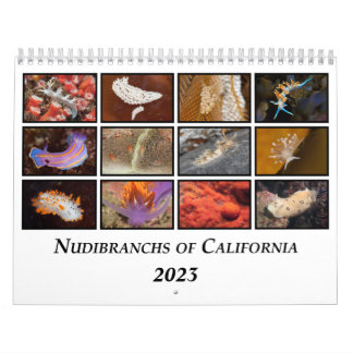 Nudibranchs of California Calendar Kalender