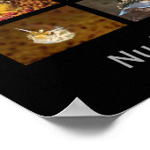 Nudibranchs of California Poster (Hoek)