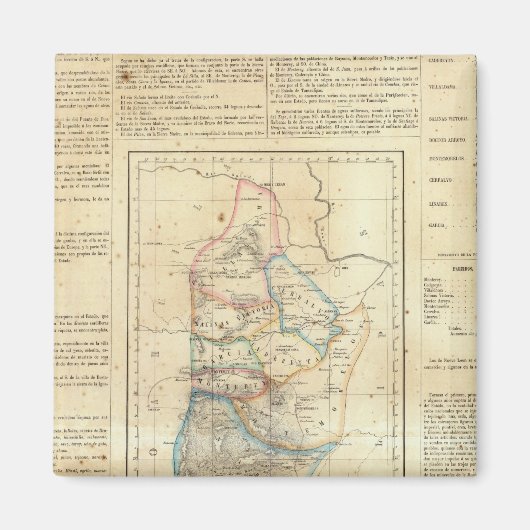 Nuevo Leon, Mexico Magneet (Voorkant)