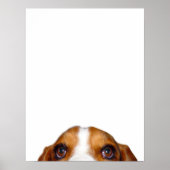 "Nuff zei: Poster (Voorkant)