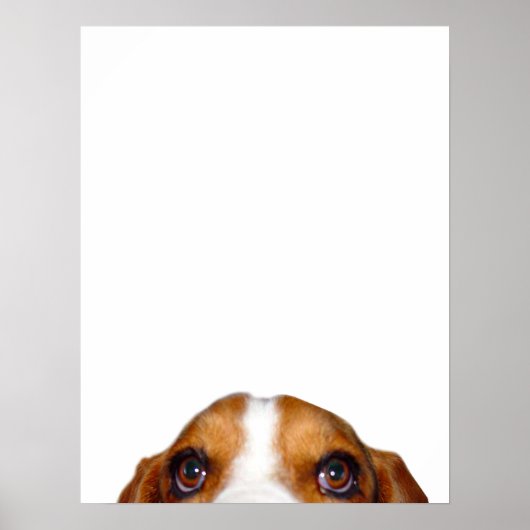 "Nuff zei: Poster (Voorkant)