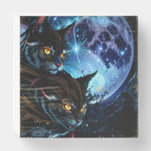 Nuit des chats