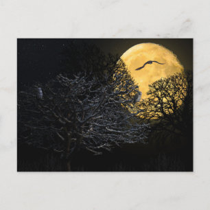 Nuit effrayante d'Halloween avec carte postale de