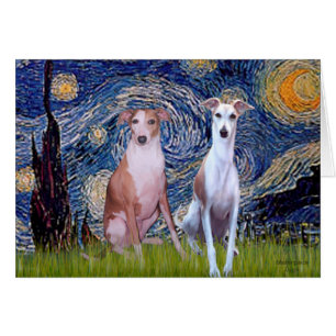Nuit étoilée - Deux Whippets