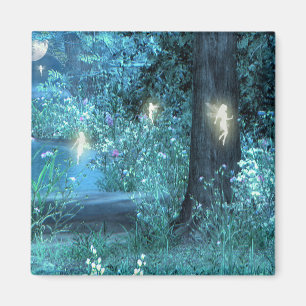 Nuit magique vol Magnet