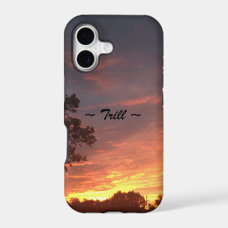 Nuits de trille