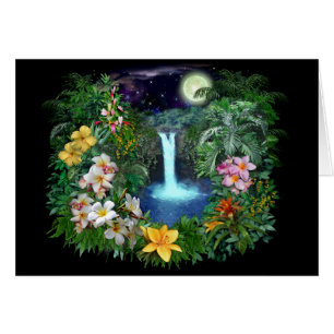 Nuits tropicales