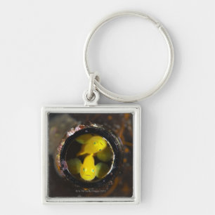 Numazu, Shizuoka Prefecture, Japan Sleutelhanger