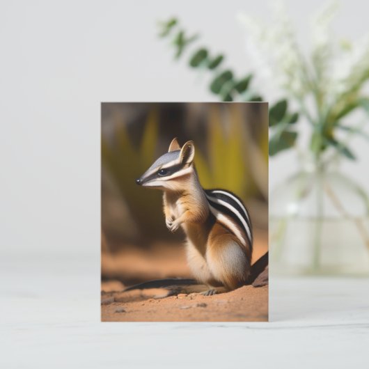 Numbat Australien, Carte Postale (Debout devant)