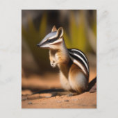 Numbat Australien, Carte Postale (Devant)