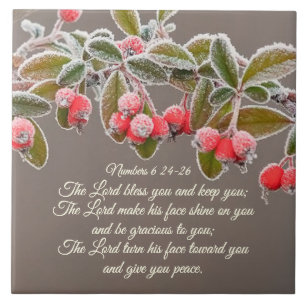 Numbers 6 24-26 The Lord bless you and keep you Tegeltje