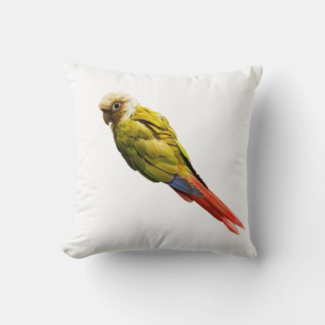 Numchoke is geen vogel kussen (Voorkant)