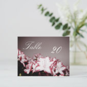 Numéro de la table de fleurs Carte postale (Debout devant)