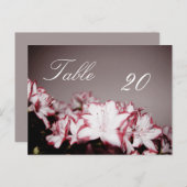 Numéro de la table de fleurs Carte postale (Devant / Derrière)