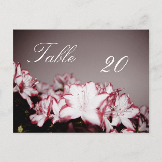 Numéro de la table de fleurs Carte postale (Devant)
