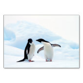 Numéro De Table Adelie Penguins (Devant)