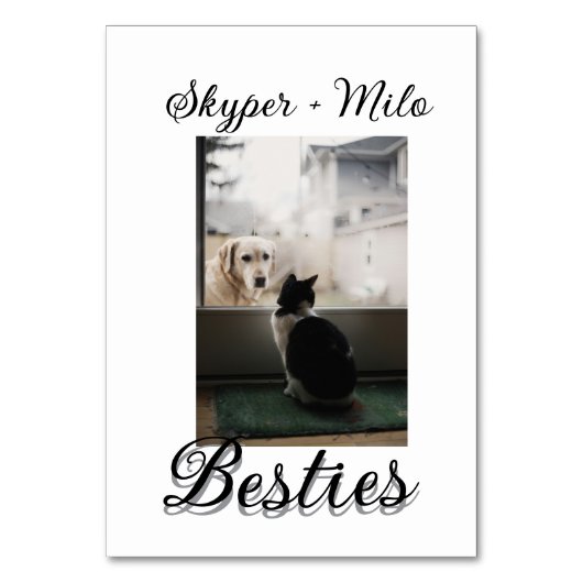 Numéro De Table Animaux de compagnie amis besties ajouter nom anim (Par défaut)