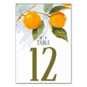 Numéro De Table Aquarelle orange thème Couleurs vives (Dos)