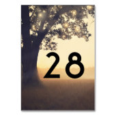 Numéro De Table Arbre et lumières Mariage rustique (Dos)
