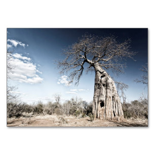 Numéro De Table Baobab dans le parc national des piscines de Mana,