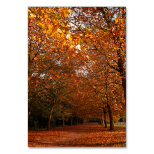 Numéro De Table Beaux arbres d'automne
