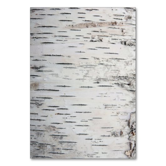 Numéro De Table Birch Tree Rustic Mariage campagnard Insertion Car (Dos)